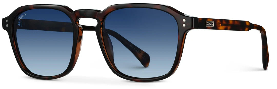 Classic style Francis 1073 | Brown Tort/Gradient Blue Lens