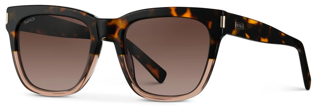 Trendy and versatile Dakota 1076 | Crystal Brown Tort/Brown Gradient Lens