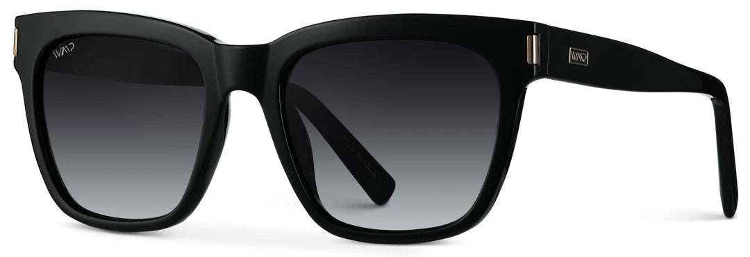 Simple research Dakota 1076 | Glossy Black/Black Gradient Lens
